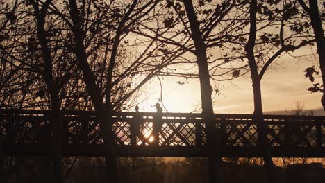 silhouetted people enjoying and evening walk in the park at sunset