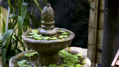 Fuente-De-Agua-En-Cascada-Pacífica-Con-Plantas-De-Agua