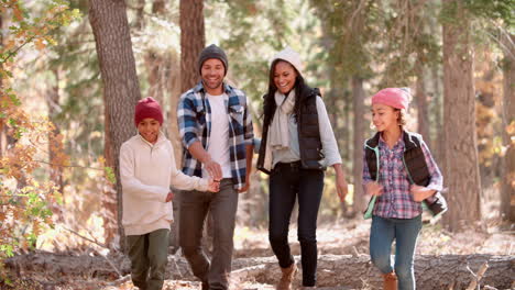 family in forest step over fallen tree, front view, close up