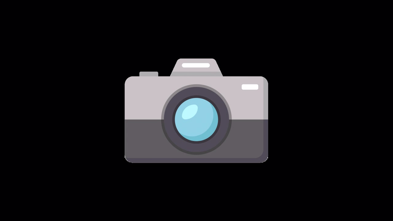 Animated Camera Icon Appearing and Disappearing on Black Background