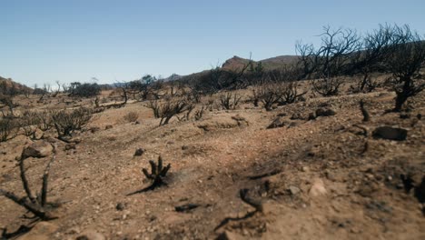 terra queimada devastadora por incêndio na espanha, mudança climática, aquecimento global