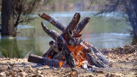 bonfire burning on the river bank, bright sunny day, beautiful nature, travel, hiking and camping concept