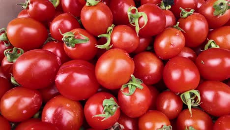 pile of red cherry tomatoes