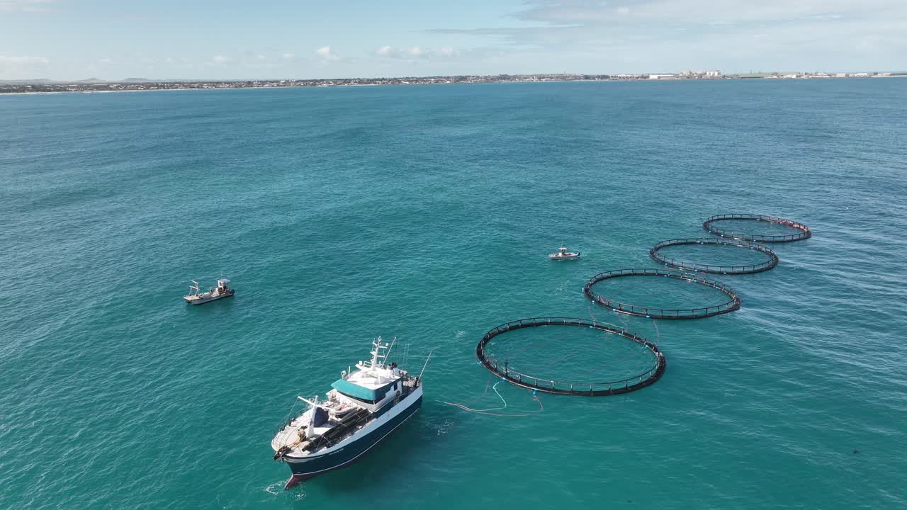 중간 크기의 해양 선박이 서부 오스트레일리아 해안을 따라 네 개의 생선 농장을 견인합니다.