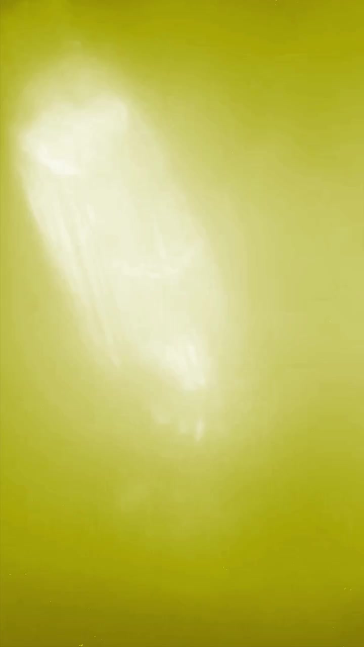 Abstract Yellow Light Leaks and Bokeh Transitions