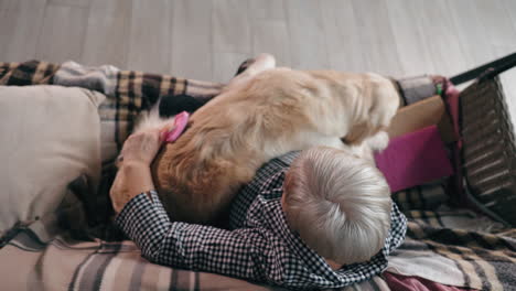 woman grooming her golden retriever on a sofa