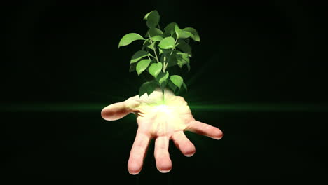 hand presenting digital green plant growing