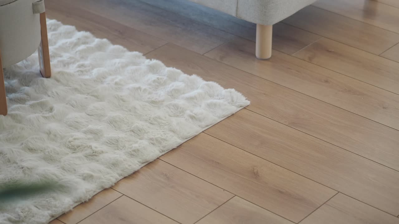 Close-up of a Plush Rug and Wooden Floor