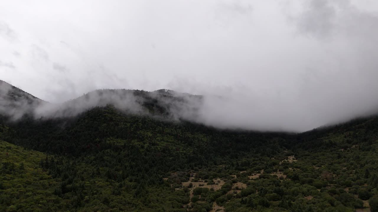 Vista Aérea de Floresta de Montanha com Inversão de Nuvens