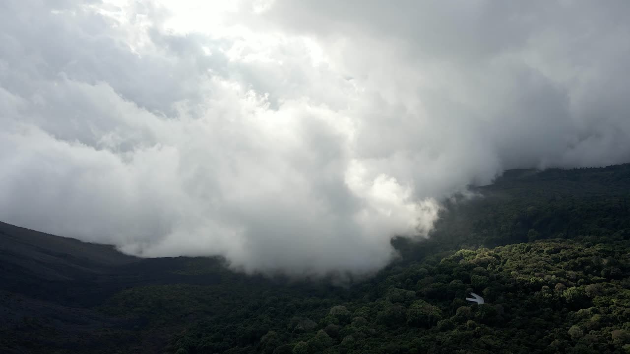 열대 열대 우림 밀집 숲 가노피, 안개 인 계곡 위의 공중