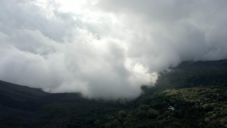 selva tropical denso dosel del bosque, aérea sobre el valle cubierto de niebla