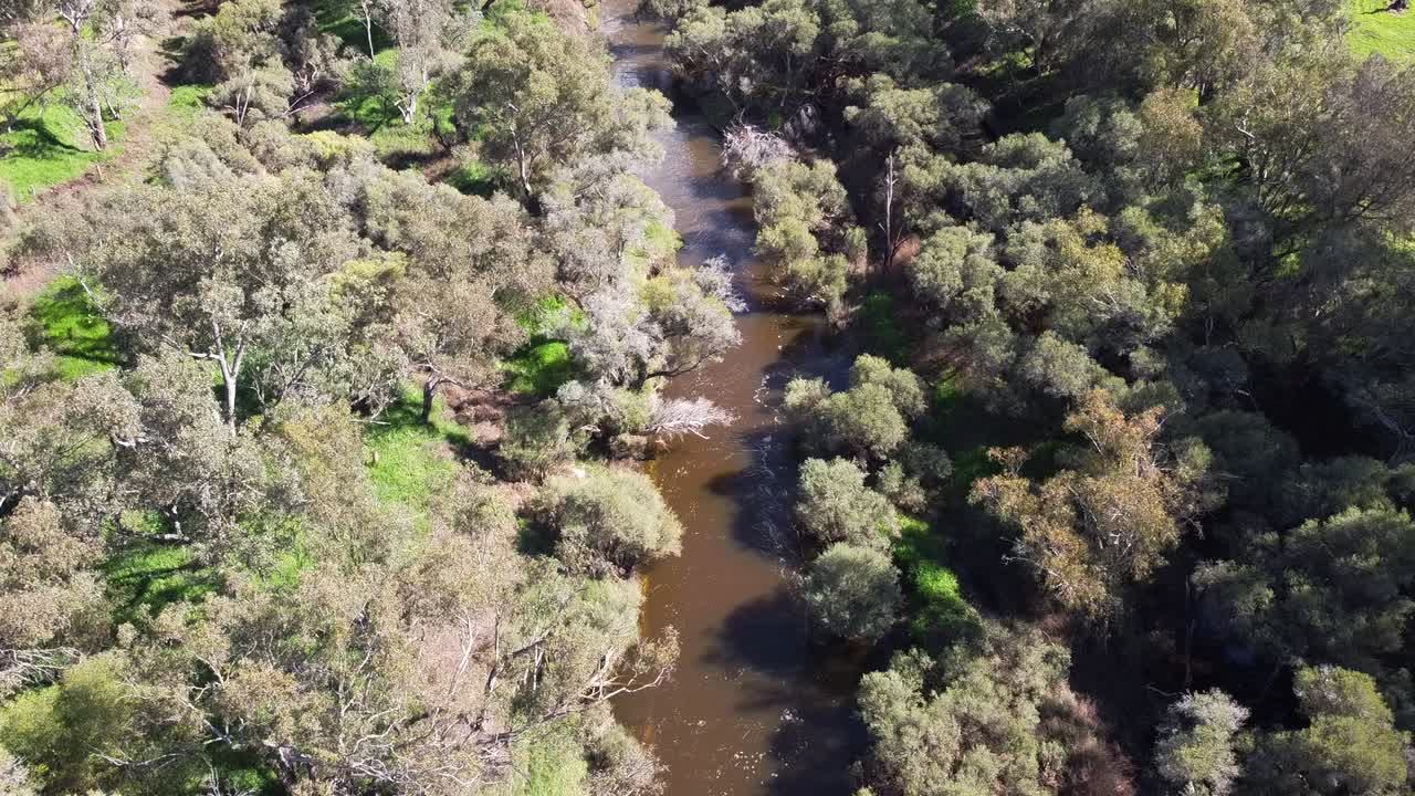vista aérea sobre el río de flujo rápido con la orilla del río bordeada de árboles, swan valley perth