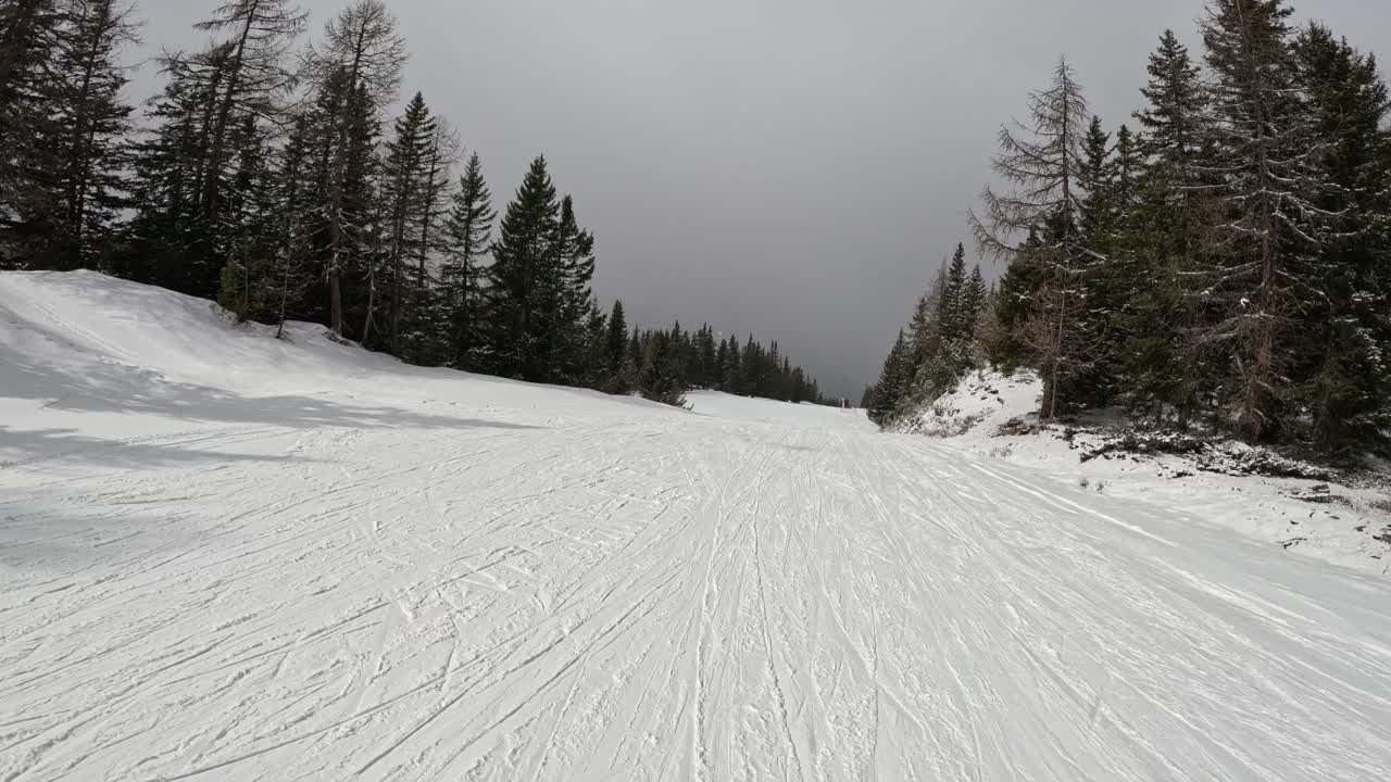 con la neve e una giornata di sci di viaggio ma il diverso è il sole andare andare e correre foresta
