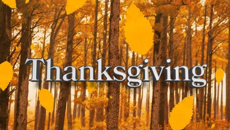 Animation-of-thanksgiving-text-over-autumn-leaves-and-forest-background