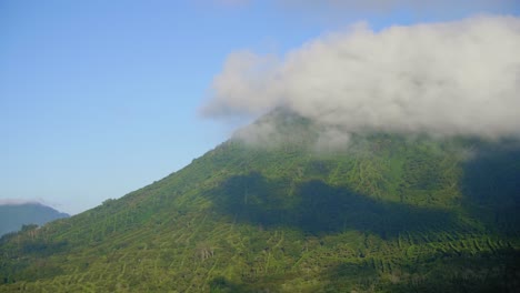 una montaña de bosque de café cubierta de niebla en santa ana, el salvador durante una mañana ventosa