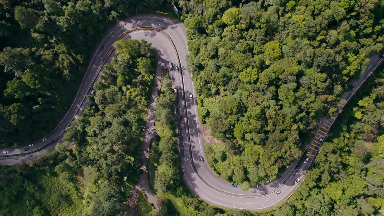 vista aérea de una carretera sinuosa a través de un bosque