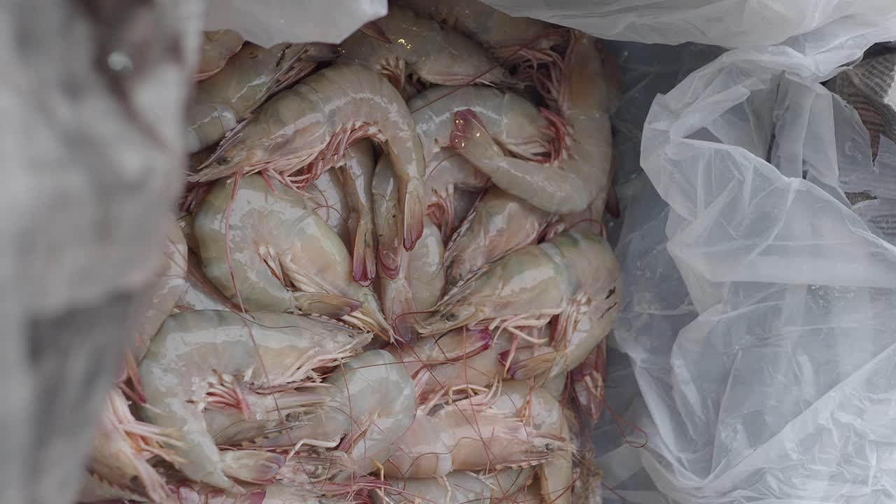 camarones frescos en el mercado