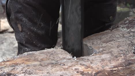 usando una motosierra para cortar un agujero en un tronco o tronco de madera afuera