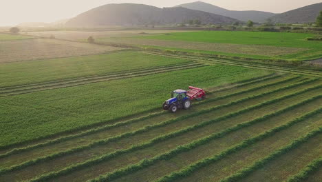 Toma-Aérea-De-Un-Granjero-Conduciendo-Un-Tractor-A-Través-De-Los-Campos-Al-Atardecer,-4k