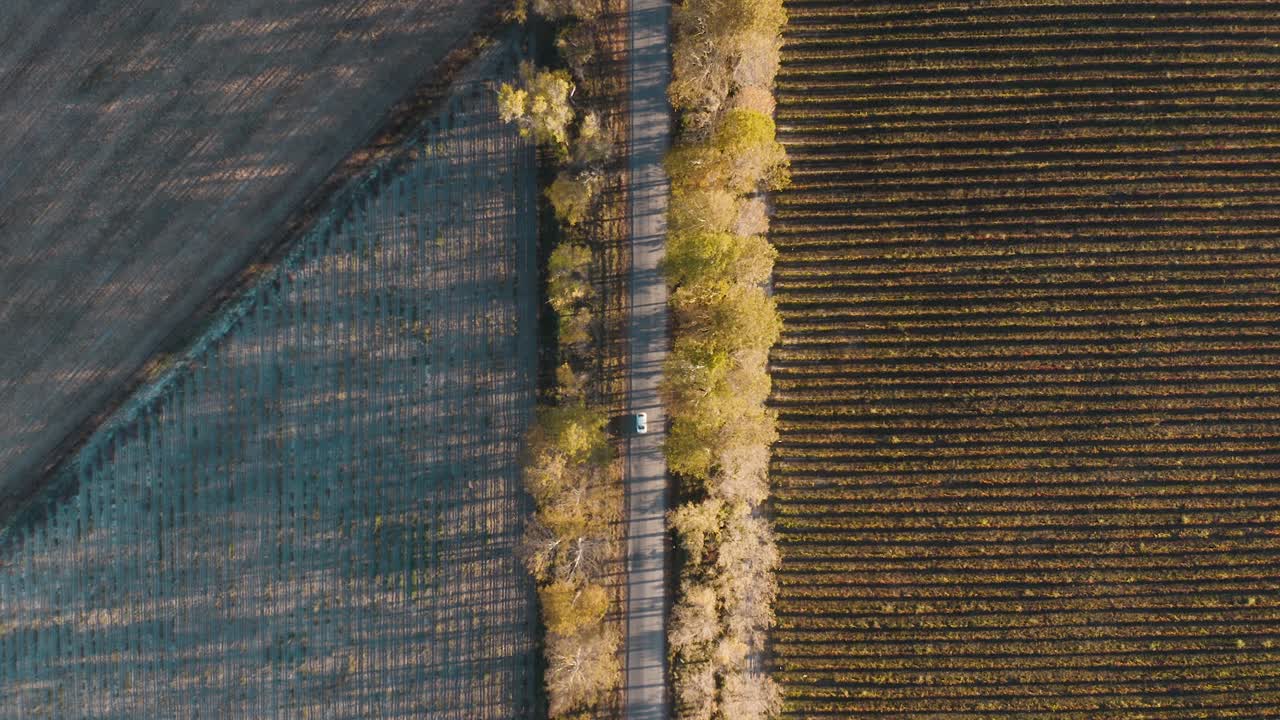 vista de arriba hacia abajo de la carretera rural con camión que viaja entre campos agrícolas y bosques - toma aérea de drones
