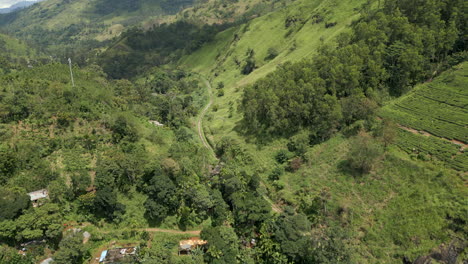 establishing aerial drone shot of landscape in demodara with train line and tea plantations