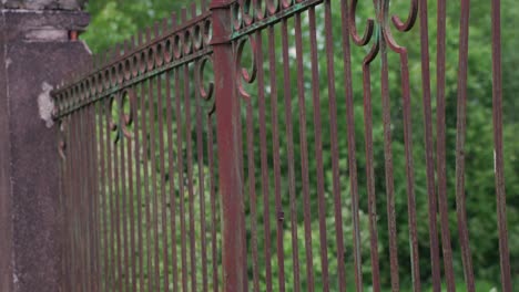 Camera-ascent-revealing-dandelion-offspring-flower-growing-near-old-house-rusty-fence