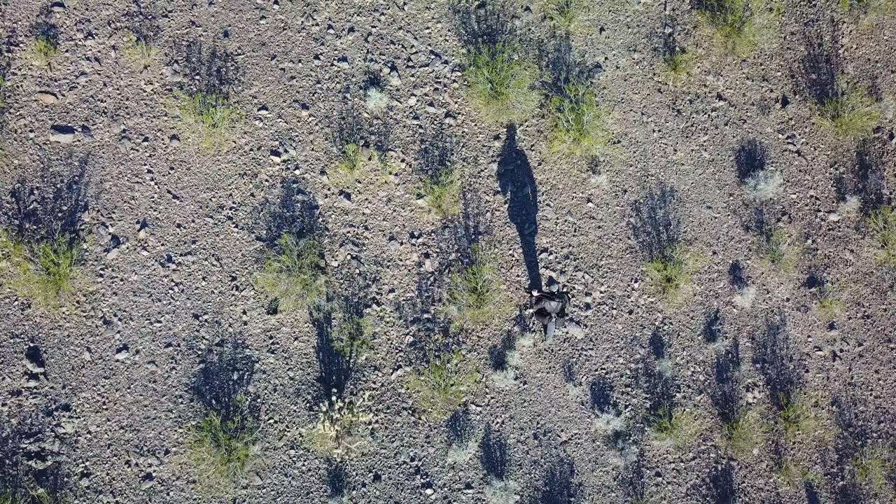 긴 그림자가 있는 사막을 가로질러 삼각대와 함께 걷는 사진작가의 고각 드론 항공 1