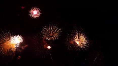 colorido espectáculo de fuegos artificiales por la noche en el fondo del cielo