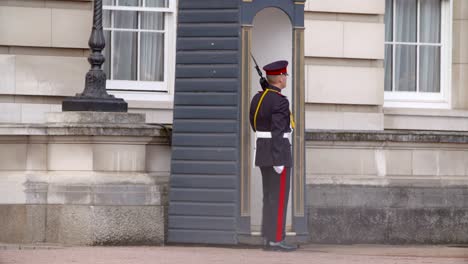 Guardia-en-el-Palacio-de-Buckingham