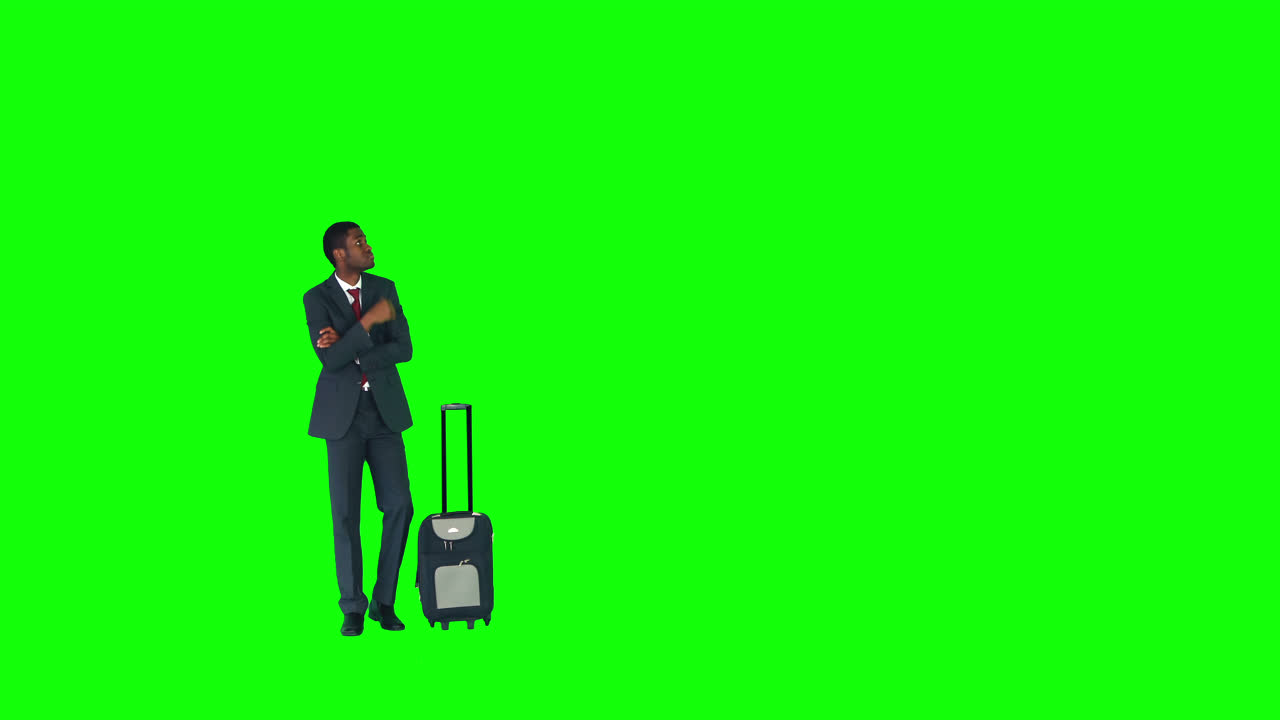 Businessman standing with luggage