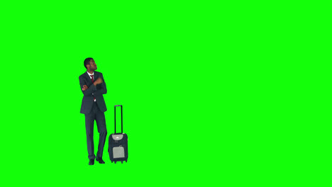 businessman standing with luggage