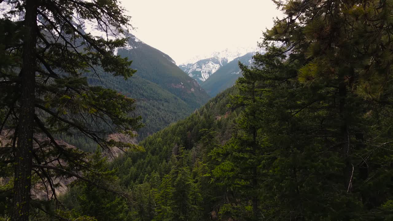 un dron lento disparó a través de los árboles cerca del lago duffey en columbia británica, canadá