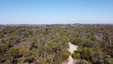 sendero para ciclistas entre los árboles entre clarkson y joondalup, perth - australia occidental