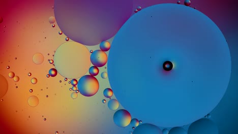 abstract colorful bubbles