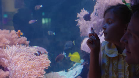 father with little girl in aquarium looking at fish swimming in corel reef curious child watching marine animals enjoying learning about sea life with dad in oceanarium