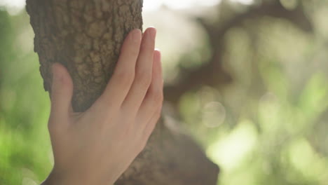 Crop person touching tree trunk