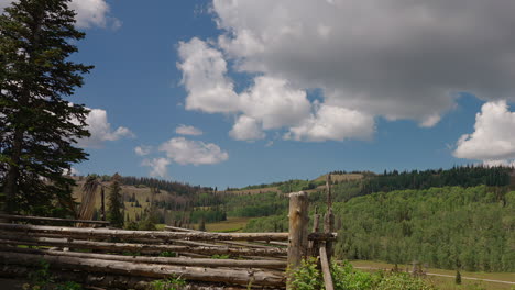 un corral está situado dentro del bosque de hoja perenne - timelapse