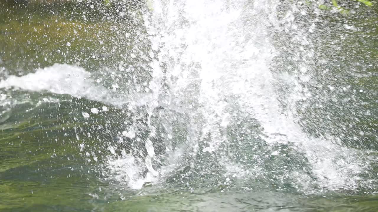 A rock splashes into a sunlit, flowing creek surrounded by green foliage, slow-motion capture