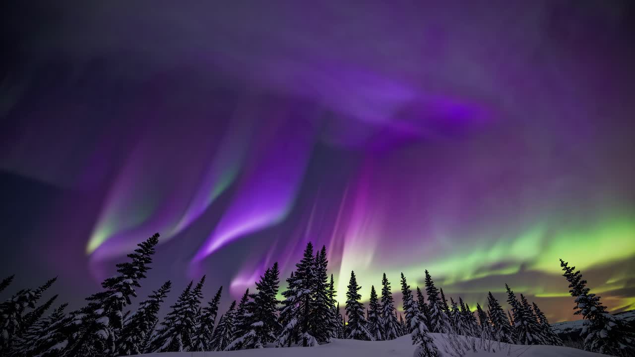 A mesmerizing wide-angle video capture of the Northern Lights swirling above snow-covered trees