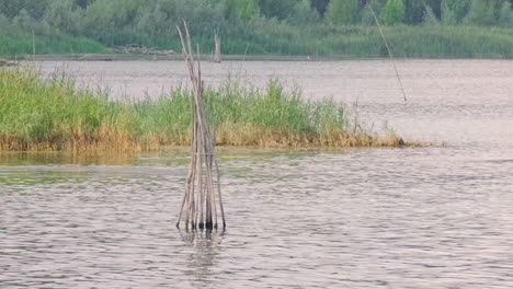 Paisaje-Rural-Tranquilo-Con-Ondas-De-Agua-Del-Lago-Y-Vegetación-Exuberante---Tiro-Estático