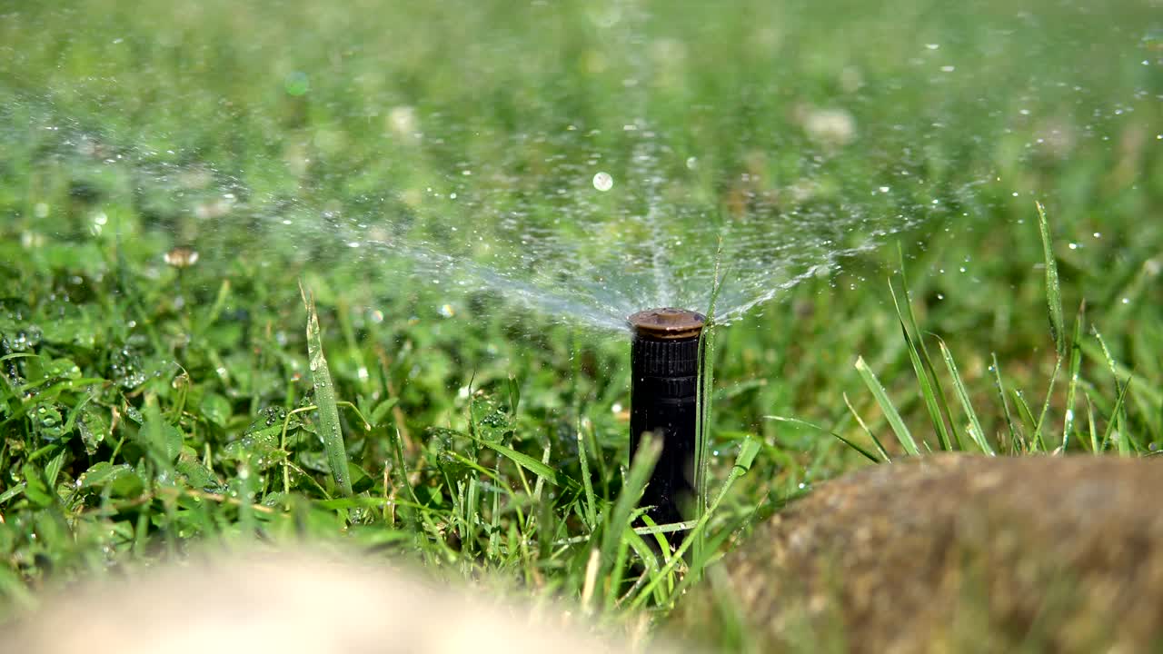 Loop shot of a sprinkler wathering the grass