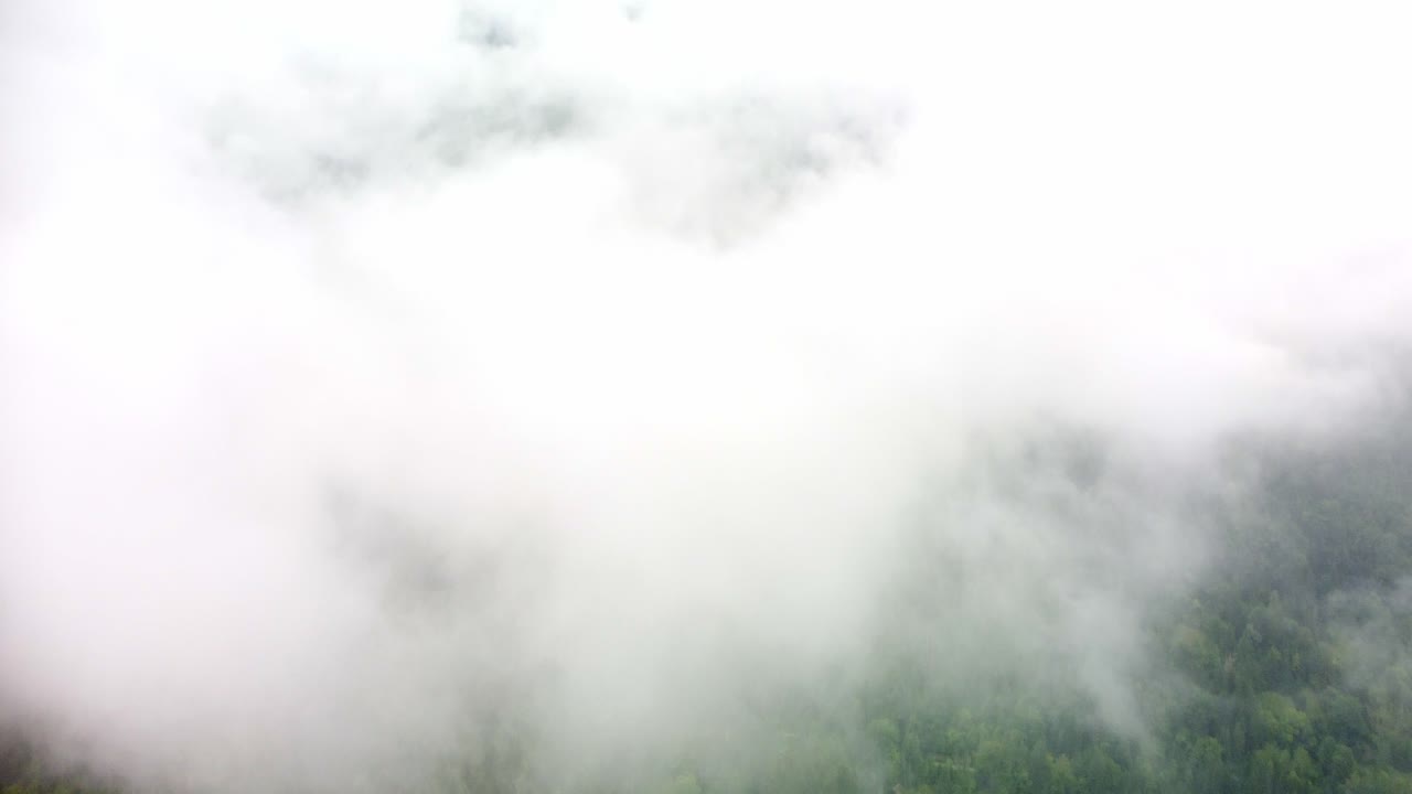Fog over alpine forest area of southern France with a camper van parked on the edge of the mountain. The video starts pointing down over the vehicle then moves forward and pans up over the forest