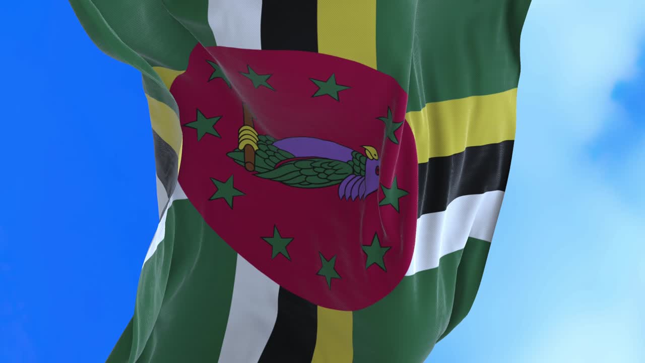 도미니카 발의 끊임없는 루프.