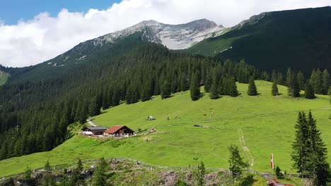 Austrian-Beer-Garden-in-the-Alps-Aerial