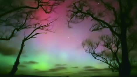 colorful northern lights seen from the forest zoom in