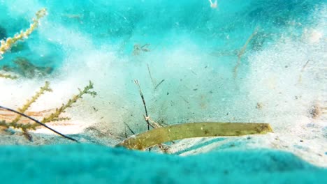 picking up ocean trash underwater causing the sand to be stirred up near the camera