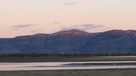 tranquil timelapse: ducks glide on a serene lake, framed by a majestic mountain and a stunning sunset sky in this captivating stock footage