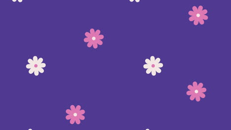 white and pink flowers pattern