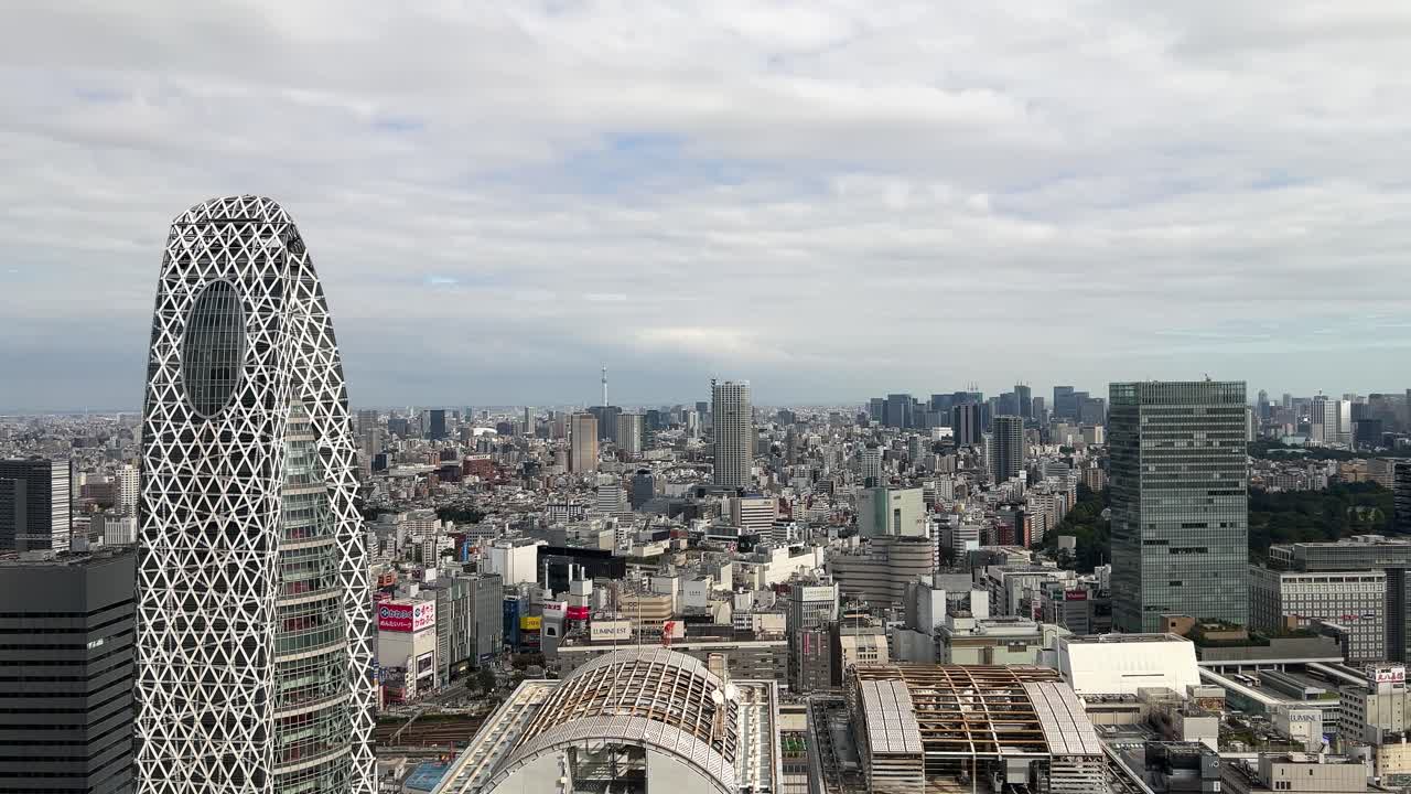 Wide open panorama over Tokyo skyline on cloudy day