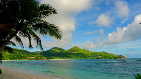 Static-shot-of-Seychelles-tropical-beach